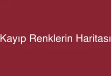 Kayıp Renklerin Haritası