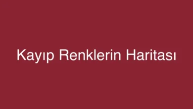 Kayıp Renklerin Haritası