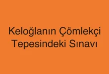 Keloğlanın Çömlekçi Tepesindeki Sınavı
