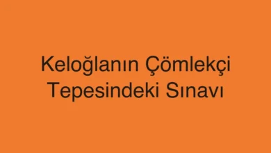 Keloğlanın Çömlekçi Tepesindeki Sınavı