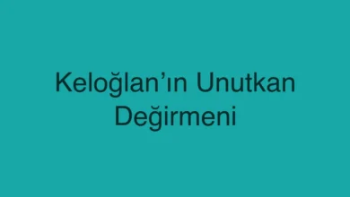 Keloğlan’ın Unutkan Değirmeni