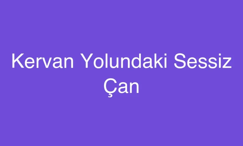 Kervan Yolundaki Sessiz Çan