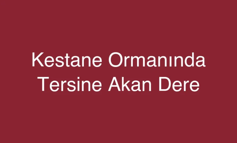 Kestane Ormanında Tersine Akan Dere