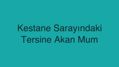 Kestane Sarayındaki Tersine Akan Mum