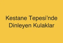 Kestane Tepesi’nde Dinleyen Kulaklar