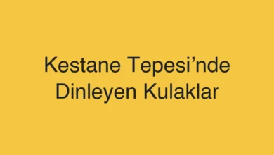 Kestane Tepesi’nde Dinleyen Kulaklar