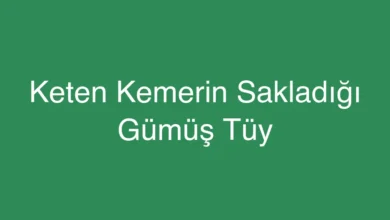 Keten Kemerin Sakladığı Gümüş Tüy