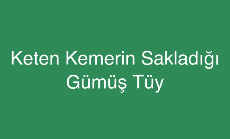 Keten Kemerin Sakladığı Gümüş Tüy