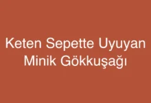 Keten Sepette Uyuyan Minik Gökkuşağı