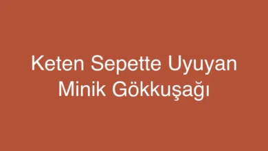 Keten Sepette Uyuyan Minik Gökkuşağı