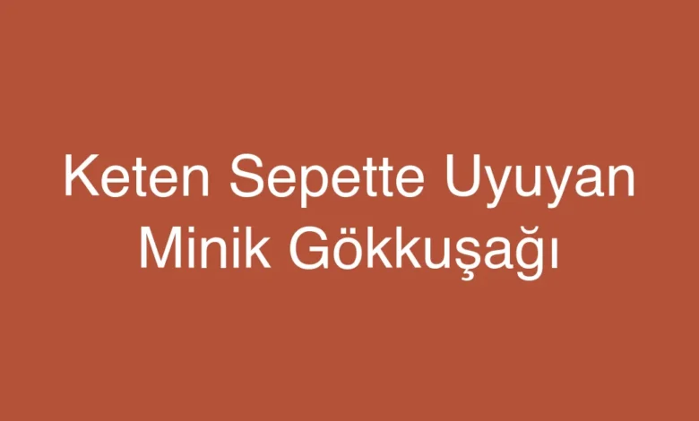Keten Sepette Uyuyan Minik Gökkuşağı
