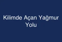 Kilimde Açan Yağmur Yolu