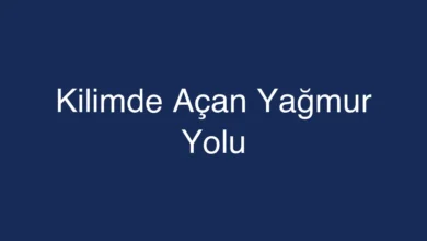 Kilimde Açan Yağmur Yolu