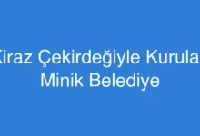 Kiraz Çekirdeğiyle Kurulan Minik Belediye