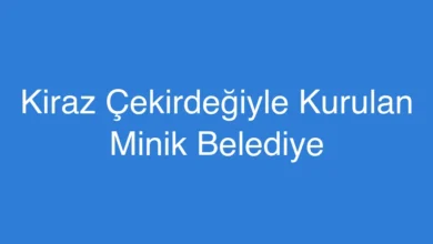 Kiraz Çekirdeğiyle Kurulan Minik Belediye