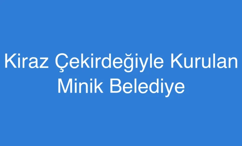 Kiraz Çekirdeğiyle Kurulan Minik Belediye