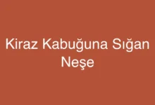 Kiraz Kabuğuna Sığan Neşe