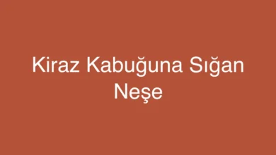 Kiraz Kabuğuna Sığan Neşe