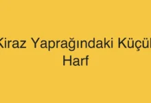 Kiraz Yaprağındaki Küçük Harf