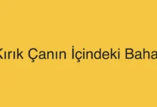 Kırık Çanın İçindeki Bahar
