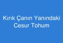 Kırık Çanın Yanındaki Cesur Tohum