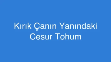 Kırık Çanın Yanındaki Cesur Tohum