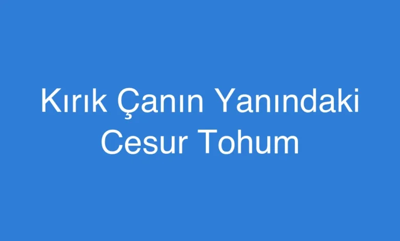 Kırık Çanın Yanındaki Cesur Tohum