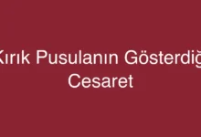 Kırık Pusulanın Gösterdiği Cesaret