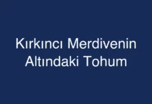 Kırkıncı Merdivenin Altındaki Tohum