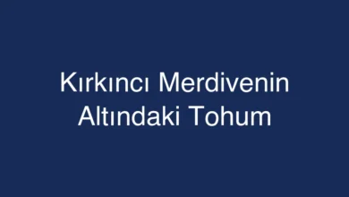 Kırkıncı Merdivenin Altındaki Tohum