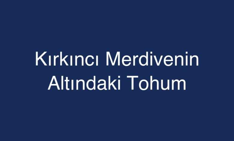 Kırkıncı Merdivenin Altındaki Tohum