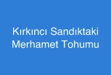Kırkıncı Sandıktaki Merhamet Tohumu