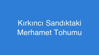 Kırkıncı Sandıktaki Merhamet Tohumu