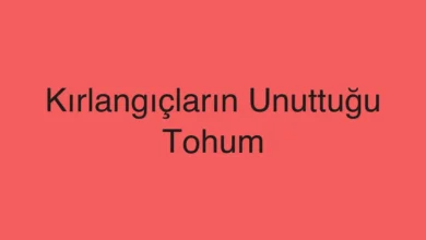 Kırlangıçların Unuttuğu Tohum