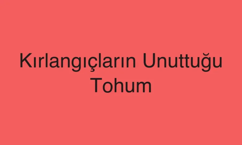 Kırlangıçların Unuttuğu Tohum