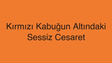 Kırmızı Kabuğun Altındaki Sessiz Cesaret