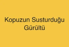 Kopuzun Susturduğu Gürültü