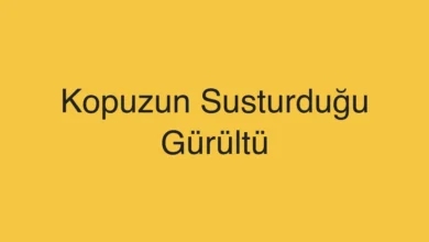 Kopuzun Susturduğu Gürültü