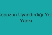 Kopuzun Uyandırdığı Yedi Yankı