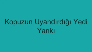 Kopuzun Uyandırdığı Yedi Yankı