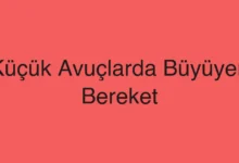 Küçük Avuçlarda Büyüyen Bereket