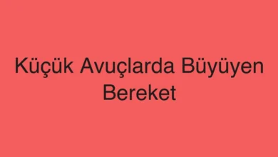 Küçük Avuçlarda Büyüyen Bereket