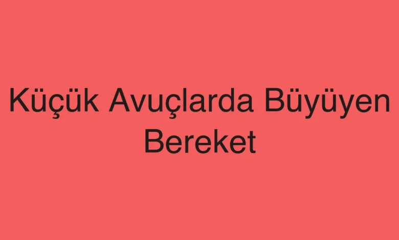 Küçük Avuçlarda Büyüyen Bereket