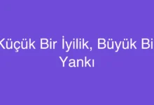 Küçük Bir İyilik, Büyük Bir Yankı