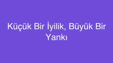 Küçük Bir İyilik, Büyük Bir Yankı