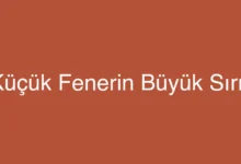 Küçük Fenerin Büyük Sırrı