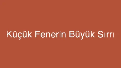 Küçük Fenerin Büyük Sırrı