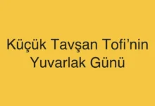 Küçük Tavşan Tofi’nin Yuvarlak Günü