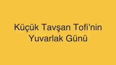 Küçük Tavşan Tofi’nin Yuvarlak Günü