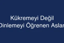 Kükremeyi Değil Dinlemeyi Öğrenen Aslan